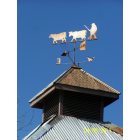 Oakland: Weather vane on the barn of James Young of Oakland Oregon