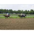 Saratoga: The Track at Saratoga