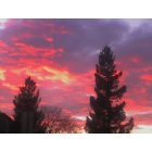 Turlock: Red Pined Sunset Sky