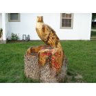St. Jo: Eagle carving of tree stump