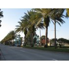 Daytona Beach: : Streets of Daytona Beach, Florida