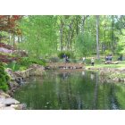 Shreveport: : Pond in Norton Art Gallery garden