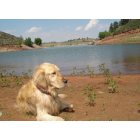 Fort Collins: : Dog Days of Summer on Horsetooth