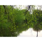 Fairmont: Spring on Amber Lake, Fairmont, MN