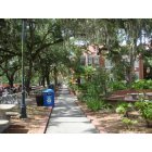 Gainesville: : university of Florida Campus