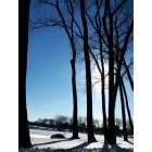 Des Moines: : Trees at Grays Lake