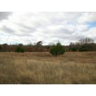 Tribbey: I live in Tribbey, OK and this is a picture of our 22 acres