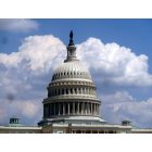 Washington: : The Capitol Dome
