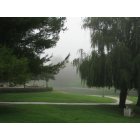 Chino Hills: English Springs Park on a foggy morning