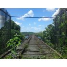 Florence: Top of the Railroad Bridge. No, the gates were not open!