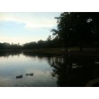 Salisbury: : Evening at the lake
