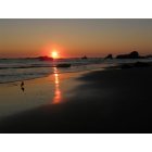 Brookings: : Harris Beach sunset