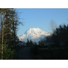 Graham: Mt. Rainier as seen from 224th. and 70th Ave., Graham, WA 98338