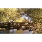 Fort Collins: : the poudre river in the fall