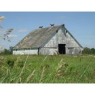 Mitchellville: a nice barn picture in Mitchellville