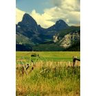 Driggs: View of Tetons from Stateline Road, Driggs, ID