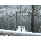 Winnsboro: My cabin in the snow at 4D winter of 2010
