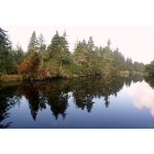 Florence: : Lagoon Campground