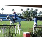 Indio: Indio Polo Grounds with rider on white horse