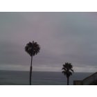 San Clemente: Palms - San Clemente