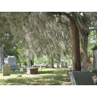 New Bern: : Old cemetery, New Bern
