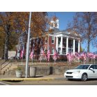Henderson: Flags flying outside the County Courthouse on Veteran's Day November 11th, 2011