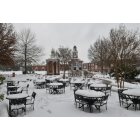Kellogg: Beautiful Winter time in Cleveland, TN that happens about once every 10 years