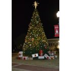 Andalusia: Andalusia Square Christmas Tree
