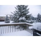 Little Canada: when it actually snowed!