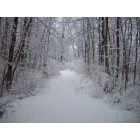 Sweden: Beautiful winter day on the trails of Northampton Park
