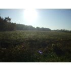 Marshfield: : Beautiful field on A Hwy