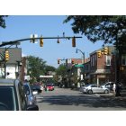 Sewickley: Sewickley Business District