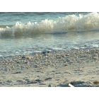 Sanibel Island: Shells on the Beach
