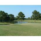Arkadelphia: Turtle Pointe Golf Club - 9th green & lake