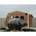 Hutto: Hutto High School, Home of the Hippos
