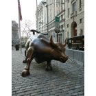 Manhattan: : the bull figure near wall street nyc