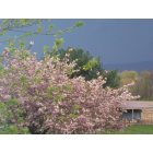 Mifflinburg: A spring storm coming....