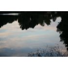 Ansonia: fountian lake water reflexsion