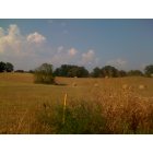 Brownsville: Edmonson County country field