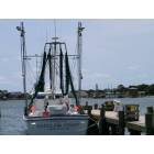 Ocracoke: View from the Marina