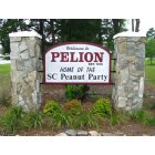 Pelion: Pelion, SC 