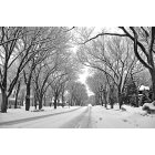 Fergus Falls: West Lincoln Avenue, on a Sunday mornig in January, 2008