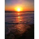 Laguna Beach: : Sunset View 1000 Steps Laguna Beach Ca
