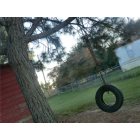 Enigma: Tire swing in yard in Enigma, GA