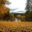Bend: : Drake Park, Bend, Oregon Fall Beauty