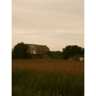 Port Austin: Old barn looking over the wheat field