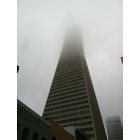San Francisco: : TransAmerica building engulfed.