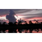 Estero: Sunset In Estero, Florida