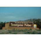 Twentynine Palms: Twenty Nine Palms