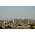 Twentynine Palms: Twenty Nine Palms